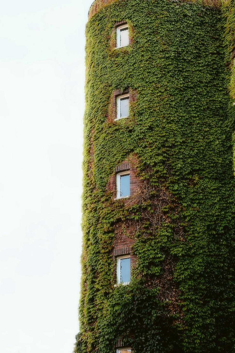 Sustainability initiatives
